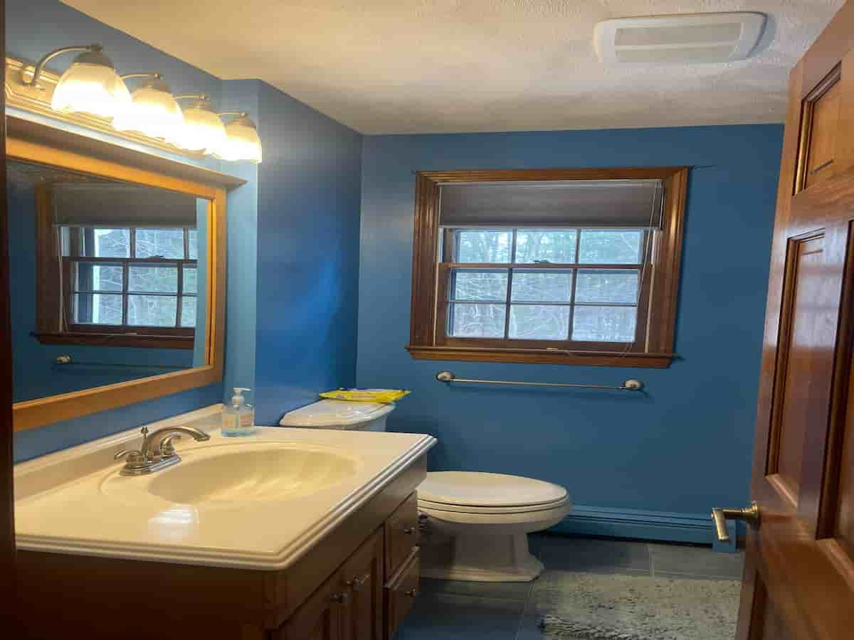 Bathroom Painting